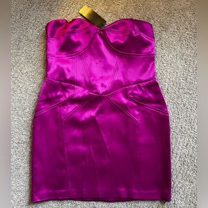 NWT Nasty Gal Fuchsia Strapless Dress